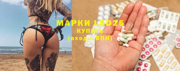 гашик Зерноград
