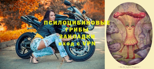 гашик Зерноград