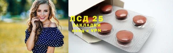 гашик Зерноград