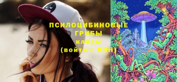 ешки Зеленодольск