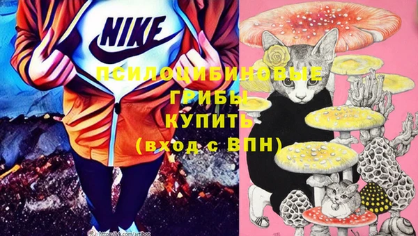 гашик Зерноград