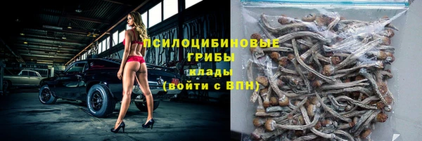 ешки Зеленодольск