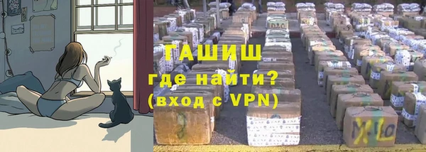 гашик Зерноград