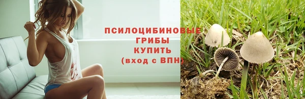 гашик Зерноград